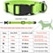 Classic Adjustable Nylon Pet Collar 11