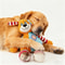 Plush Interactive Squeaky Puzzle Toy 2