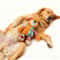 Plush Interactive Squeaky Puzzle Toy 3