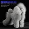 Professional Groomers Teddy Simulation Model 3