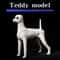 Professional Groomers Teddy Simulation Model 5