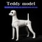 Professional Groomers Teddy Simulation Model 5