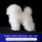 Professional Groomers Teddy Simulation Model 9