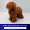 Professional Groomers Teddy Simulation Model 10