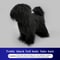 Professional Groomers Teddy Simulation Model 8