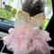 Spring Stripe Lace Princess Pet Dress 2