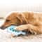 Interactive Hedgehog Dental SlowFeeder Toy 2