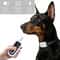 ProSeries Automatic AntiBarking Training Collar 2