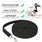 HeavyDuty Nylon Training Lead 2