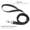 HeavyDuty Nylon Training Lead 4