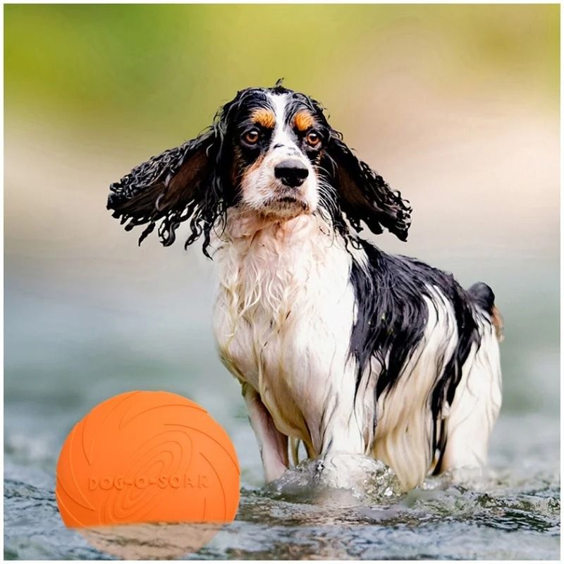 AeroFlex Silicone Interactive Flying Disc 4