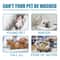 VetFormulated NoRinse Pet Dry Shampoo 2