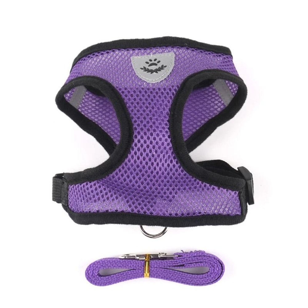 Essential AirMesh Comfort Harness Leash Set 12