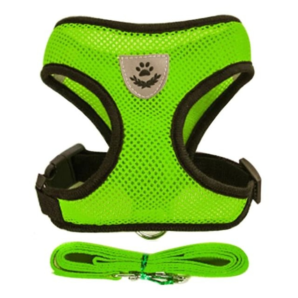 Essential AirMesh Comfort Harness Leash Set 7