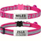 SafetyFirst Personalized Reflective Cat Collar Set 9