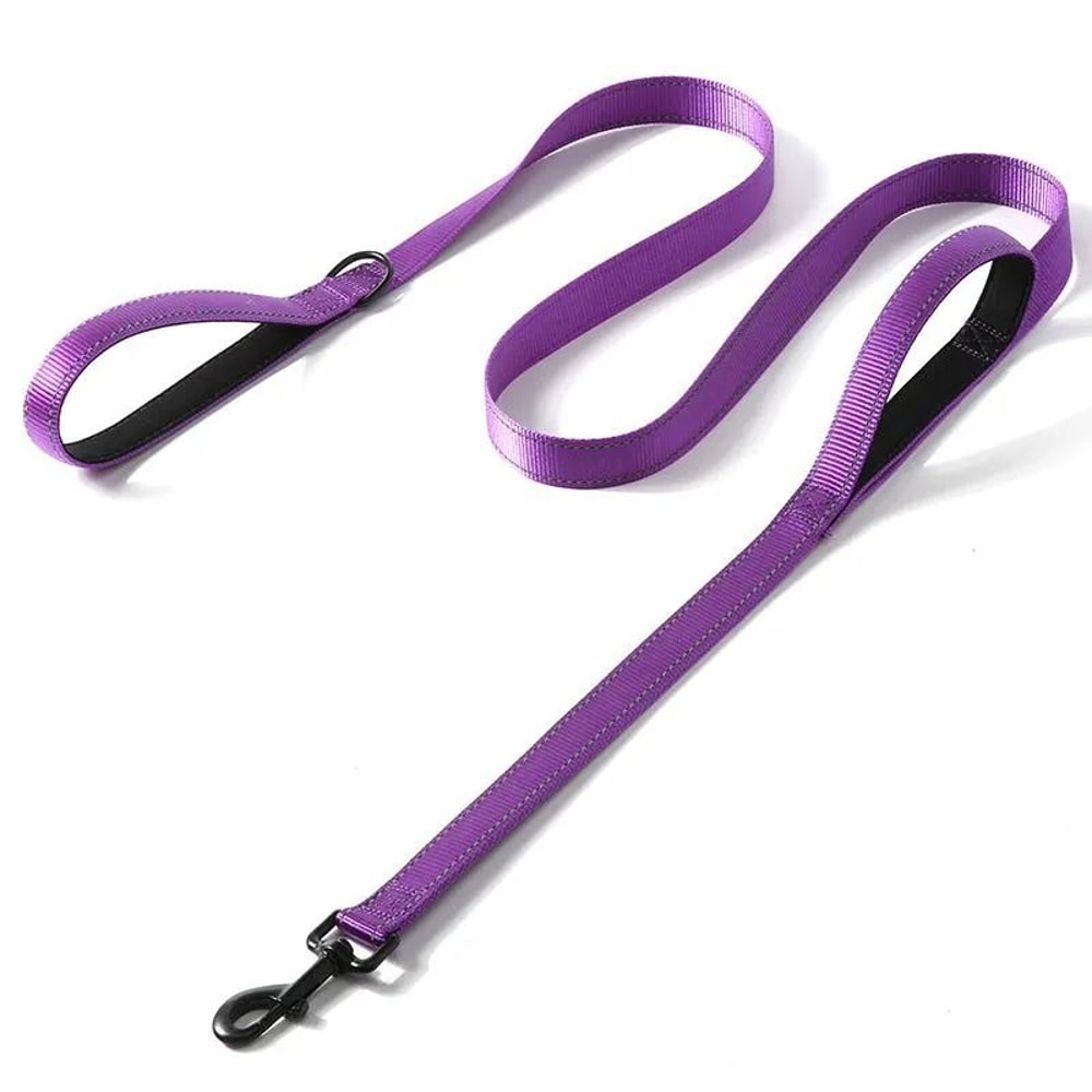 DualControl Heavy Duty ProTrainer Leash 11