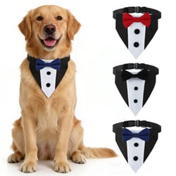 sucado distinguished gentleman wedding bandana & collar