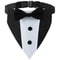 Sucado Distinguished Gentleman Wedding Bandana Collar 7