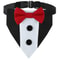 Sucado Distinguished Gentleman Wedding Bandana Collar 8