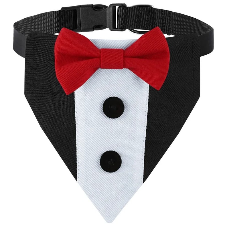 Sucado Distinguished Gentleman Wedding Bandana Collar 8