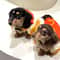 The Ultimate Hot Dog Pet Cosplay Costume 3