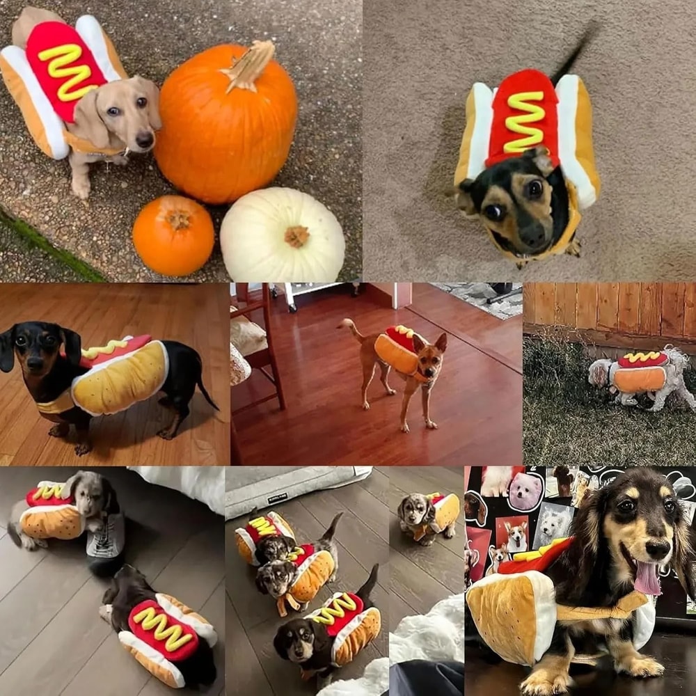The Ultimate Hot Dog Pet Cosplay Costume 4