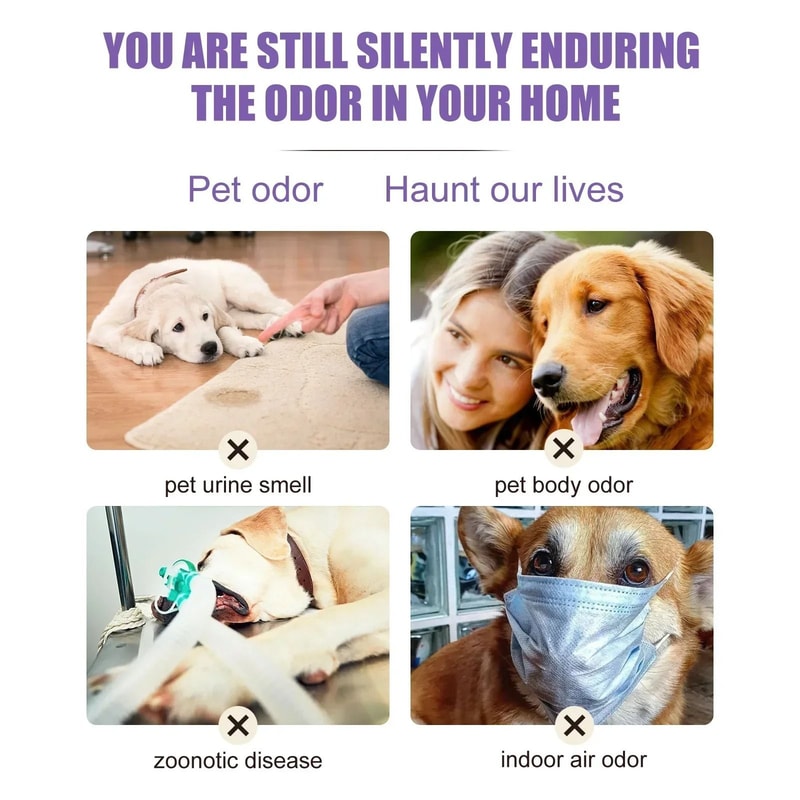 Lavender Zen Pet Deodorizing Soothing Spray 4