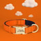 ProTech Personalized Waterproof Dog Collar 3