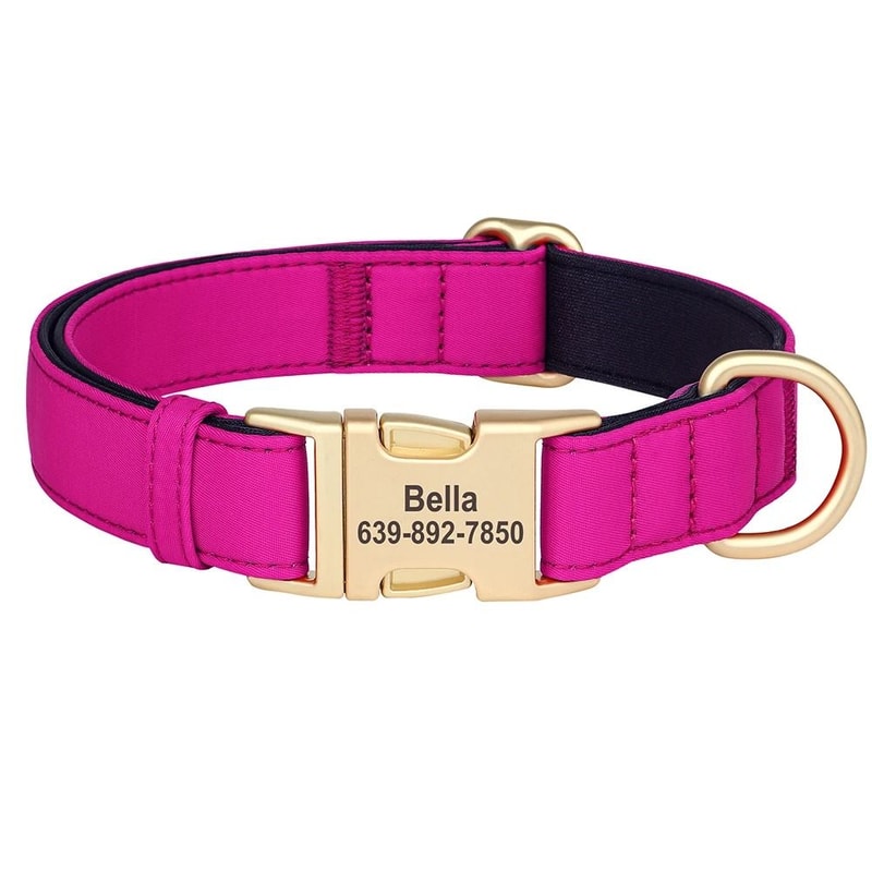 ProTech Personalized Waterproof Dog Collar 10