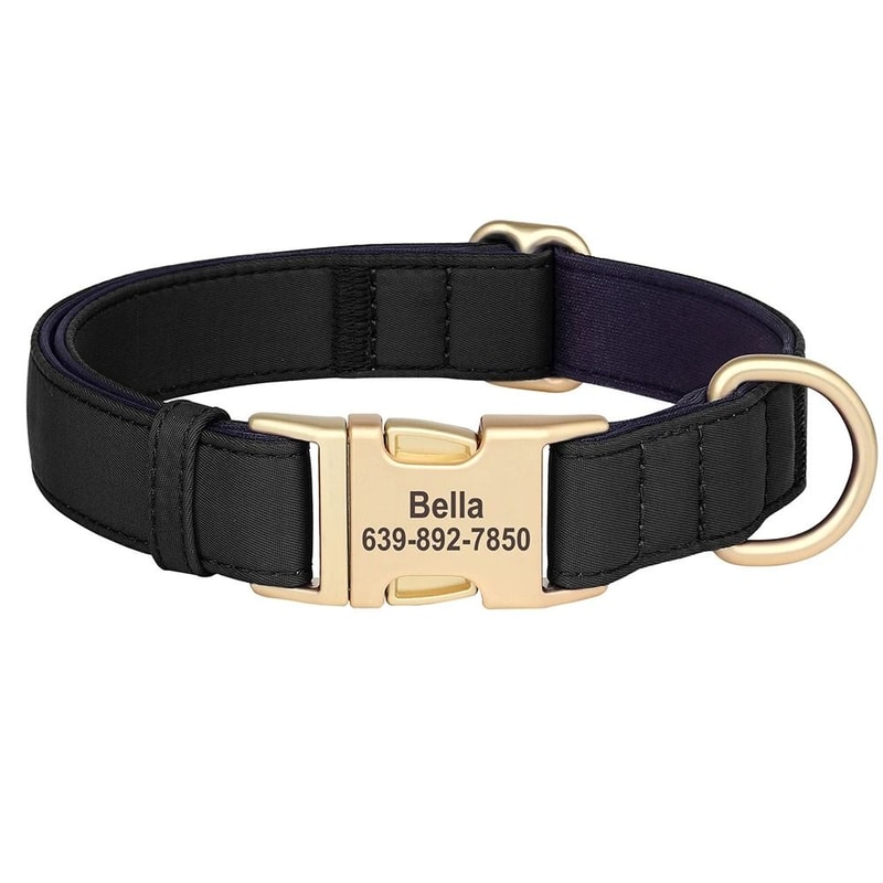 ProTech Personalized Waterproof Dog Collar 12