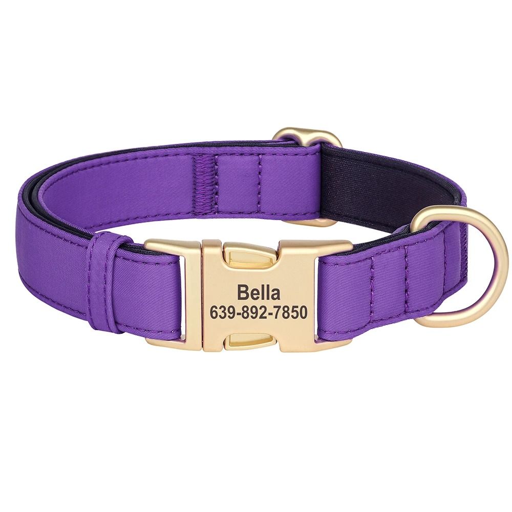 ProTech Personalized Waterproof Dog Collar 13