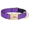 ProTech Personalized Waterproof Dog Collar 13