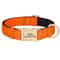 ProTech Personalized Waterproof Dog Collar 6