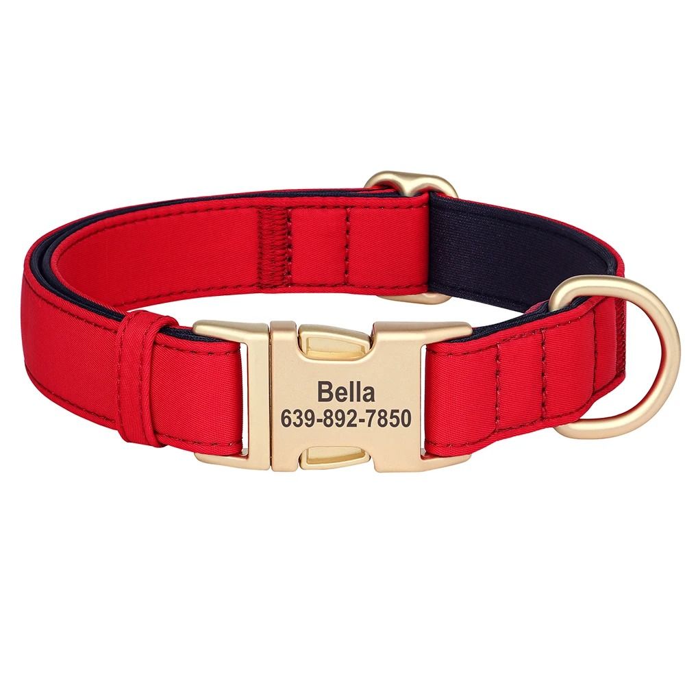ProTech Personalized Waterproof Dog Collar 8