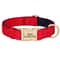 ProTech Personalized Waterproof Dog Collar 8