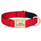 ProTech Personalized Waterproof Dog Collar 8