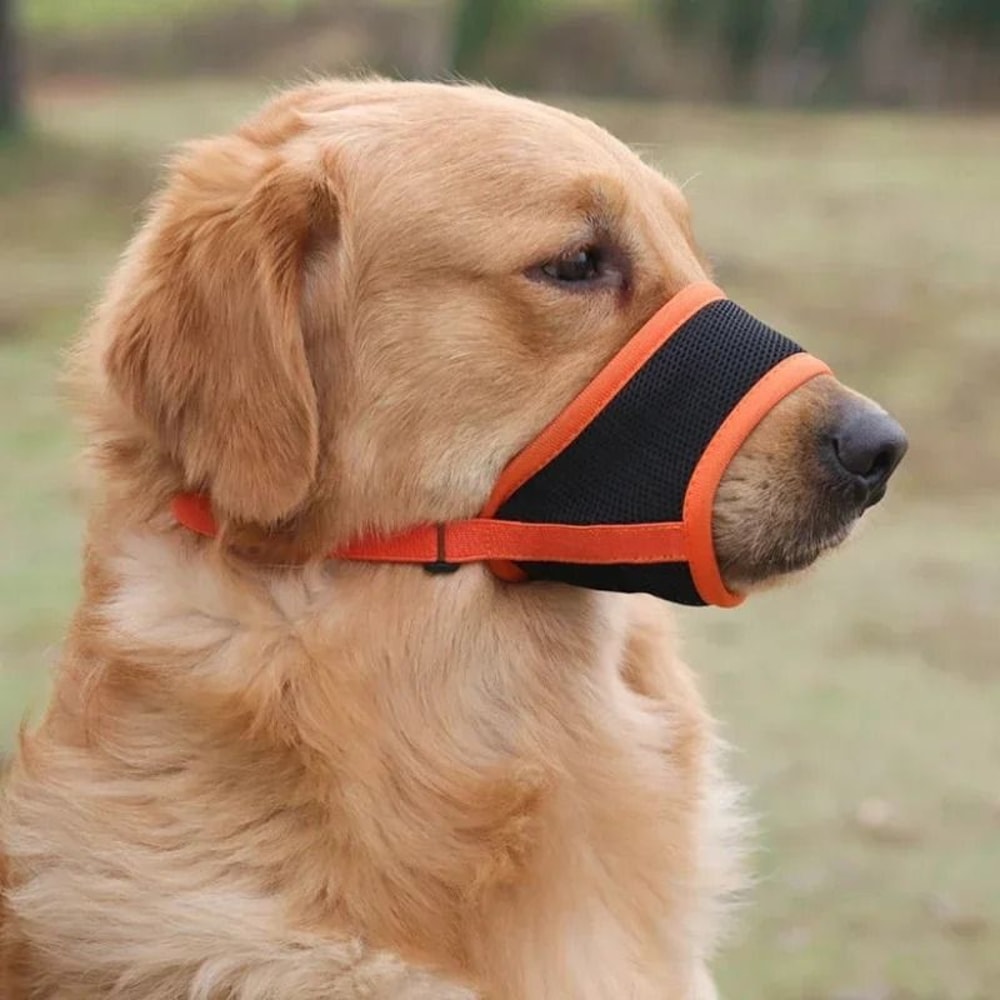 AeroFlow Soft Mesh Training Muzzle 1