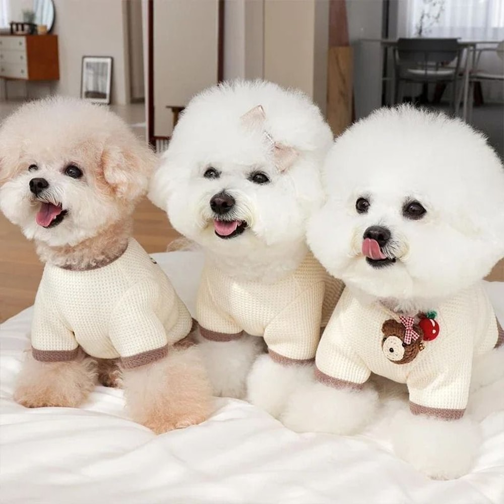 PetCouture Pastel Summer Apparel Series 3
