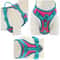 PrismFlex Personalized NoPull Harness 1