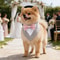 Sucado RedCarpet Wedding Tuxedo Bandana 5