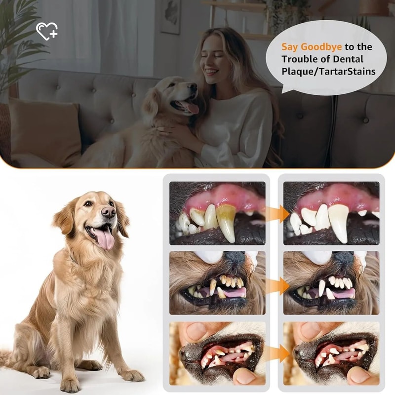 DentaPro Advanced Ultrasonic Pet Dental Care Kit 3