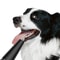 DentaPro Advanced Ultrasonic Pet Dental Care Kit 4