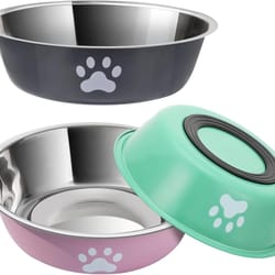 anchor-base stainless steel feeding bowl