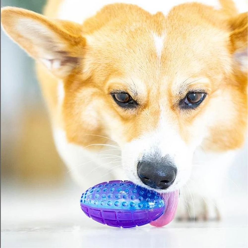 TitanGlow Rugby Squeak Chew Toy 5