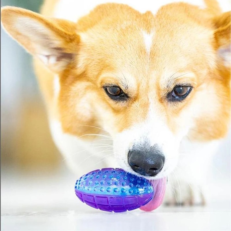 TitanGlow Rugby Squeak Chew Toy 5