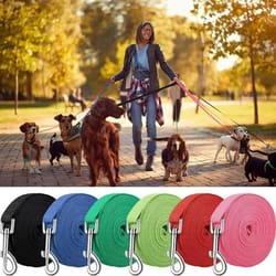 vista-lead ultra-long nylon training leash