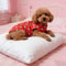 SanrioStyle Full Print Pet Vest 3