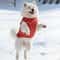 SanrioStyle Full Print Pet Vest 5