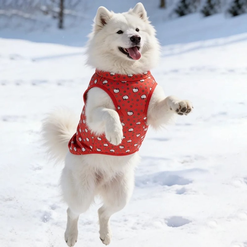 SanrioStyle Full Print Pet Vest 5