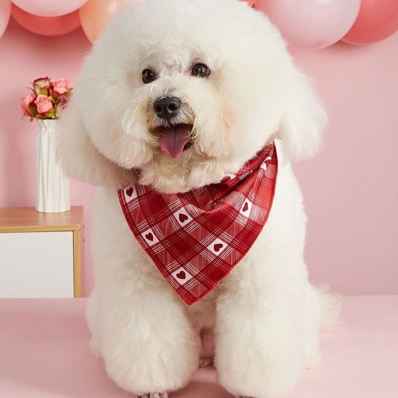HeartPrint Valentines Celebration Bandana 2